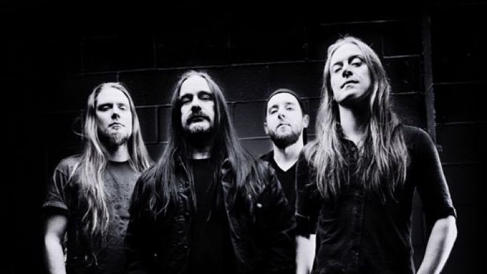 BillSteer Carcass