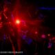 Sparrow – Amplifier Capitol – 25-02-17 – Linda Dunjey-10