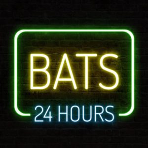 Bats - 24 Hours