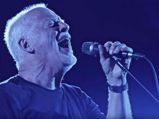 David Gilmour