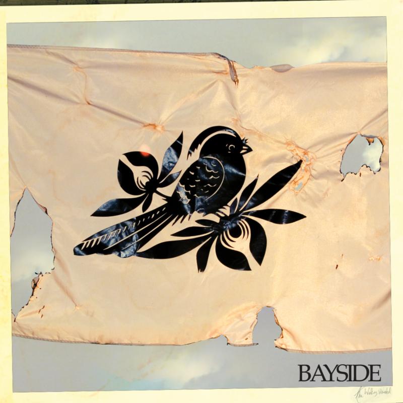 Bayside- The Walking Wounded
