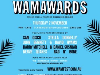 Wamfest Awards 2017