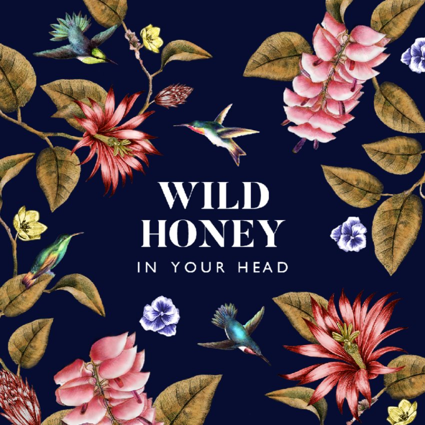 Wild Honey - In Your Head