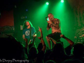 King Parrot - Perth 2017 | Photos by Linda Dunjey Photography