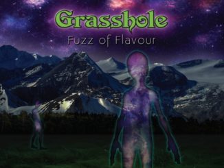 Grasshole - Fuzz Of Flavour