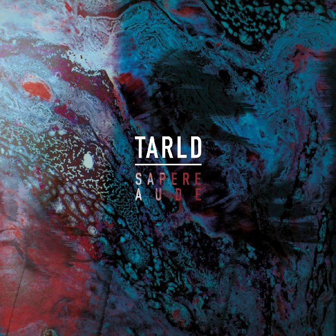 The Amsterdam Red Light District