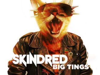 Skindred - Big Tings