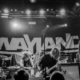 Wayland – Dallas Texas 2018  |  Photo Credit: Cherri Bird