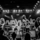 Wayland – Dallas Texas 2018  |  Photo Credit: Cherri Bird