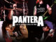 Pantera: Live At Dynamo 1998