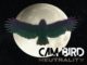 Cam Bird - Neutrality