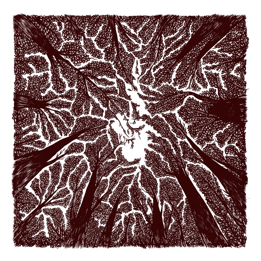 Trashboat - Crown Shyness