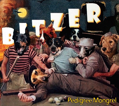 Pedigree mongrel shop