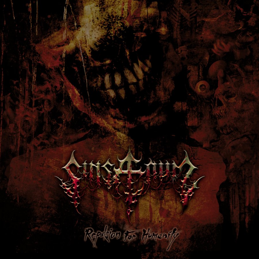 Sinsaenum - Final Resolve