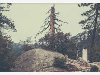 Future Usses - The Existential Haunting