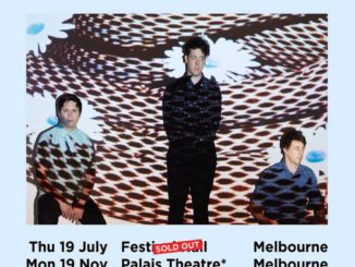 The Wombats