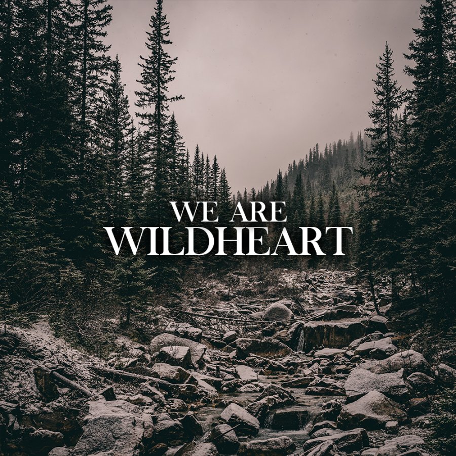 Wildheart - We Are