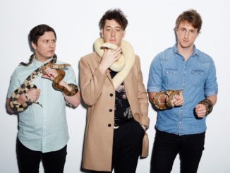 The Wombats