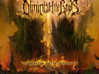 Diminish The Gods - Combust Into Infinity