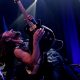 Ragdoll – Perth 2018