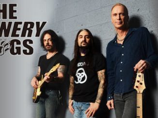 The Winery Dogs 2013