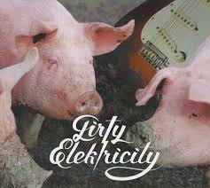 Dirty Electricity