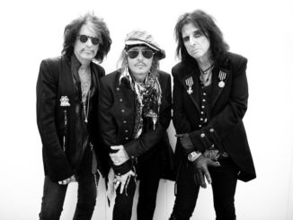 The Hollywood Vampires