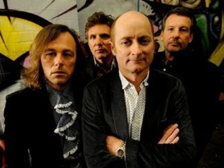 Hoodoo Gurus 2012