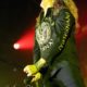 Whitesnake – Sayreville, NJ 2019 | Photo Credit: Andris Jansons