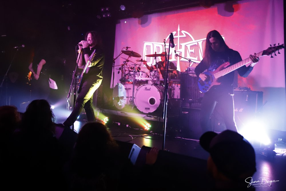 Orpheus Omega - Stormrider Festival 2019 | Photo Credit: Sharon Burgess