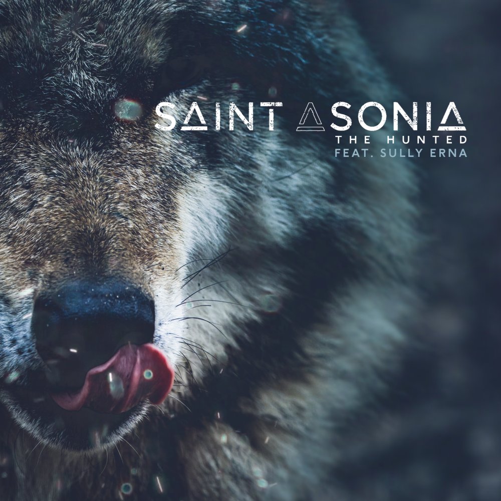 Saint Asonia - The Hunted