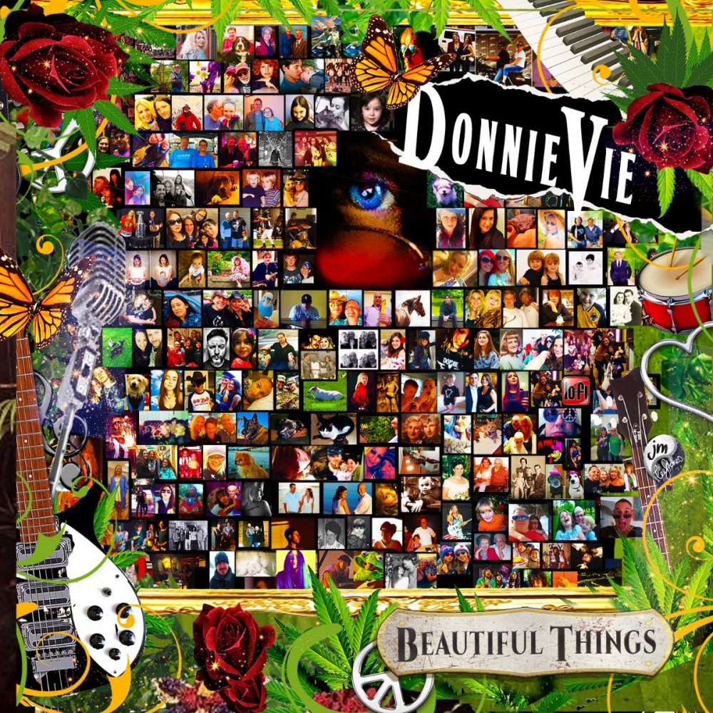 Donnie Vie - Beautiful Things