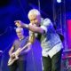 Icehouse – Twilight At The Zoo Melbourne 2020 – Photo Credit: Live Music Photography