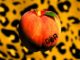 Gorilla Riot - Peach