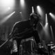 Alpha Wolf – Perth 2020 | Photo Credit: Alvin Lee