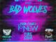 Hollywood Undead / Bad Wolves US tour 2020