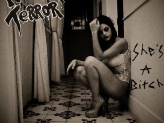 American Terror - She's A Bitch