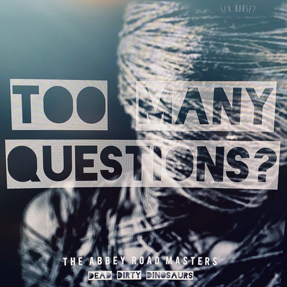 Dead Dirty Dinosaurs - Too Many Questions