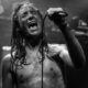 Woewarden – Amplifier, February 27th 2021  |  Photo Credit: Shadow World Photography