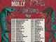 Flogging Molly and Violent Femmes US tour