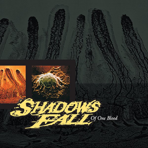 Shadows Fall - Of One Blood