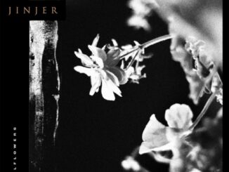 Jinjer - Wallflowers