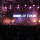 Birds of Tokyo_By the C_7 May 2023 (9)