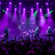 Creeper Filmore 5 2 2024 (8 of 1)
