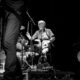 The Animals_Astor Theatre WA_260624 (36)