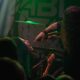 Ablaze_Northcote Social Club VIC_110425 (12)