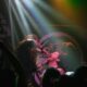 Ablaze_Northcote Social Club VIC_110425 (15)