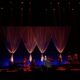 Engelbert Humperdinck_Hamer Hall Melbourne_080726 (24)