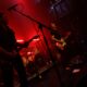 The Drones perth (25)